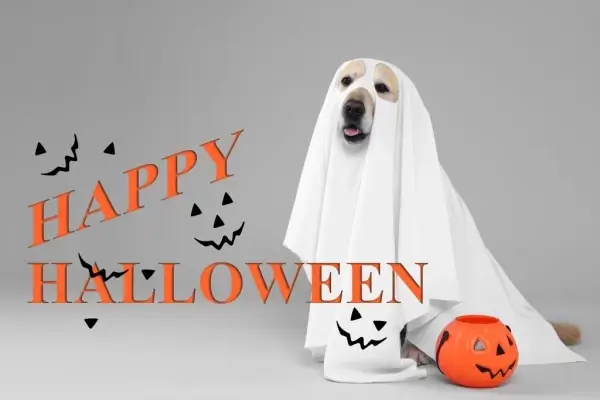 Happy Halloween from Ultimate Home Lending